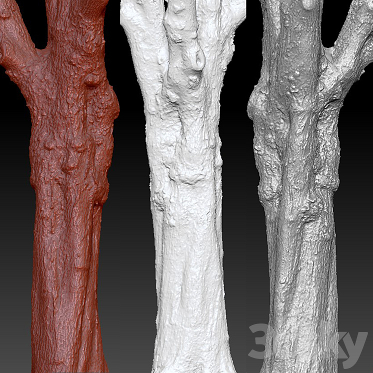 Maple | Maple-tree # 1 3DS Max - thumbnail 2