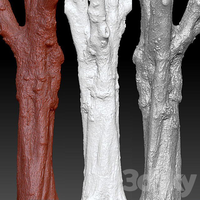 Maple | Maple-tree # 1 3DSMax File - thumbnail 2