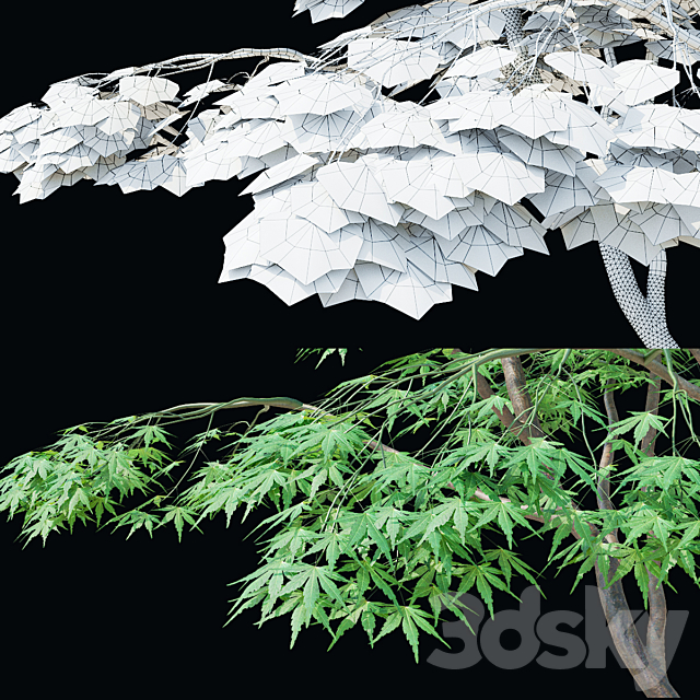 Maple palm tree | Acer palmatum 3ds Max - thumbnail 2