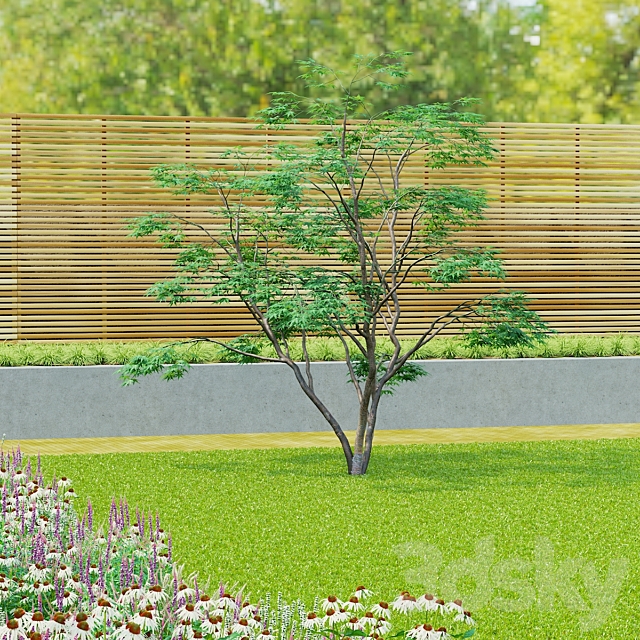 Maple palm tree | Acer palmatum 3dsMax Model - thumbnail 7