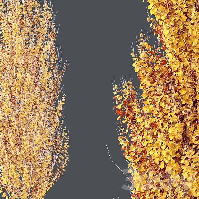 Maple Sapindaceae and Acer Saccharinum Fall trees 3DS Max Model - thumbnail 6