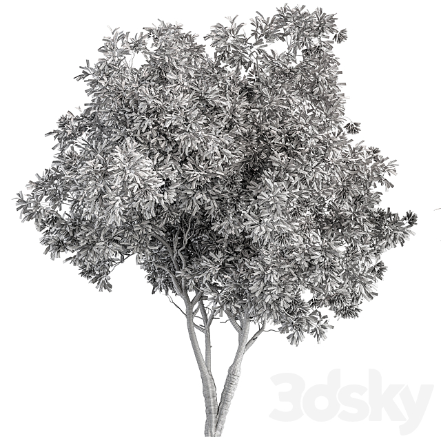 Nerium Oleander -Tree Set 229 3ds Max - thumbnail 3