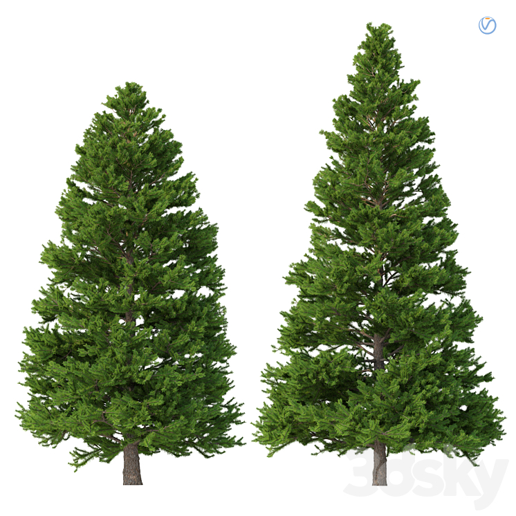 Norway spruce Set 3 V-Ray 3DS Max Model - thumbnail 1