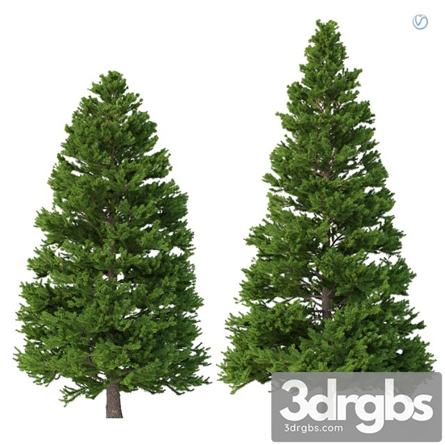 Norway spruce set 3 v-ray - thumbnail 1