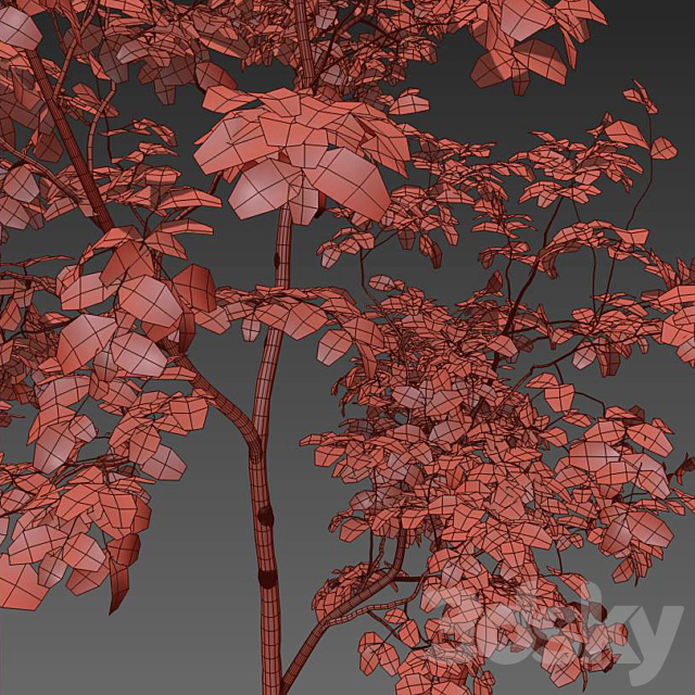 Oak sapling 3DSMax File - thumbnail 4