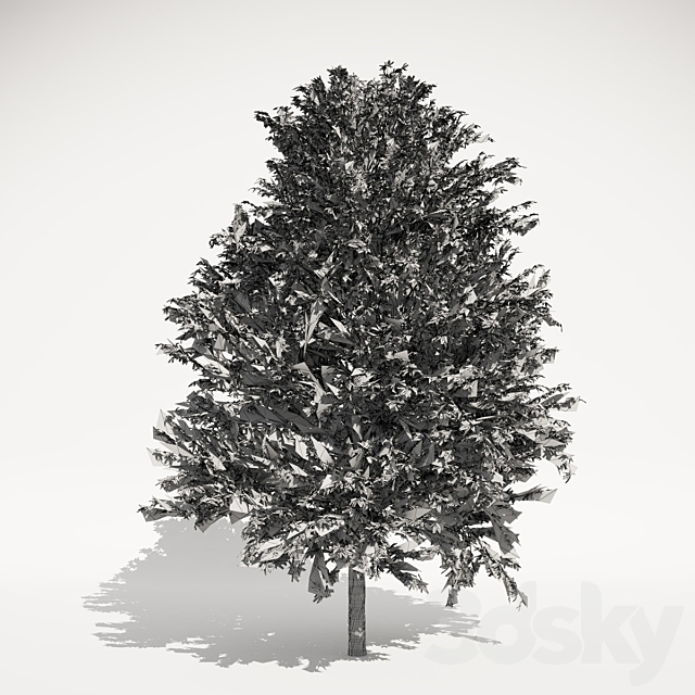 Oak Tree 3ds Max - thumbnail 3