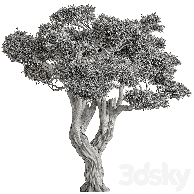 Ola Tree Set 294 3DS Max Model - thumbnail 3