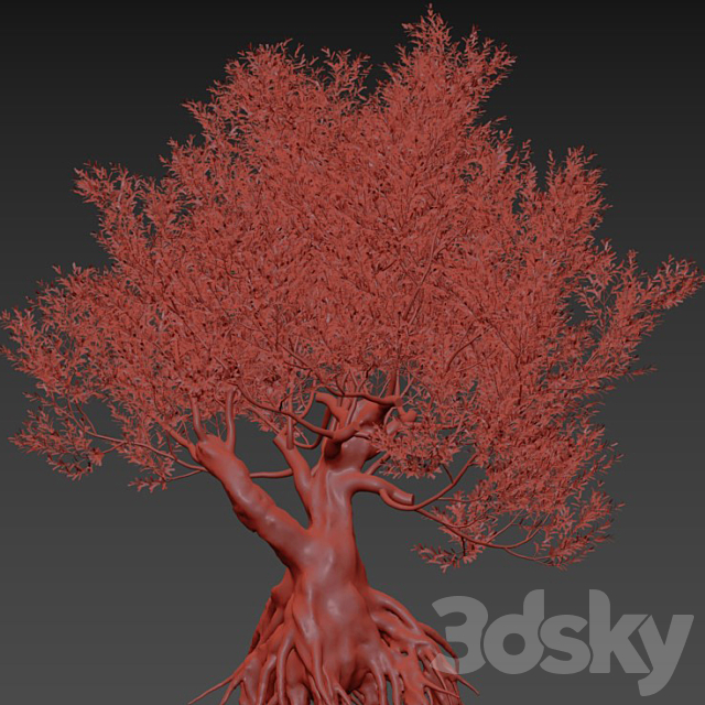 Olive Tree (Europa Olea) # 1 3ds Max - thumbnail 2