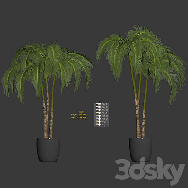 Palms in tubs. 6 models 3DSMax File - thumbnail 3