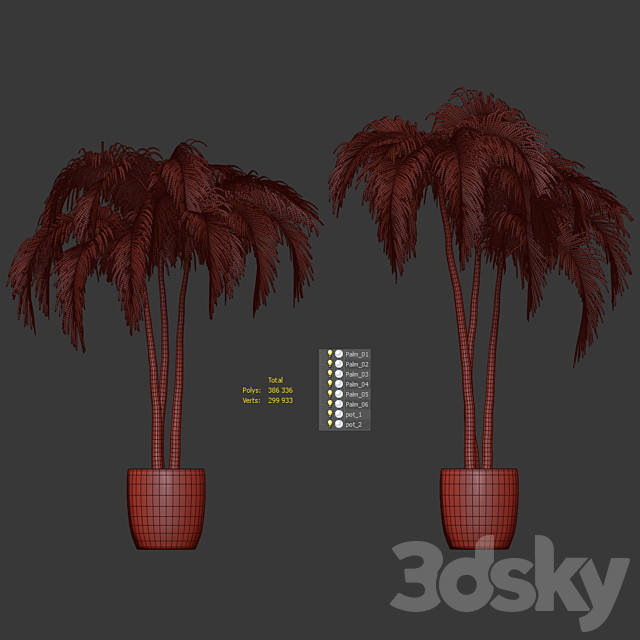 Palms in tubs. 6 models 3DSMax File - thumbnail 6