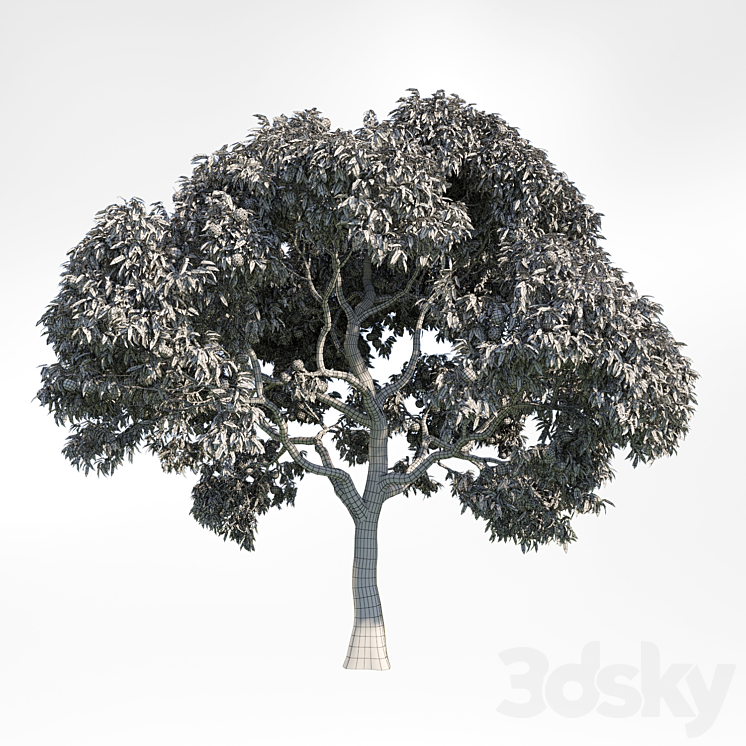 peach tree 10 3DS Max - thumbnail 2