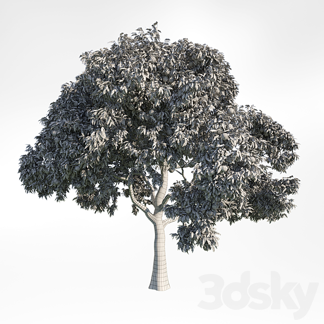 peach tree 9 3ds Max - thumbnail 2