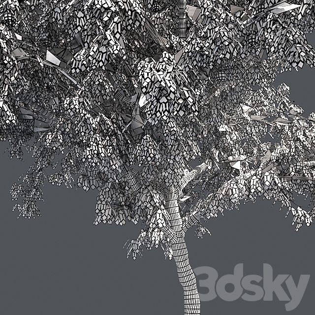 Peach tree with fruit 3DSMax File - thumbnail 5