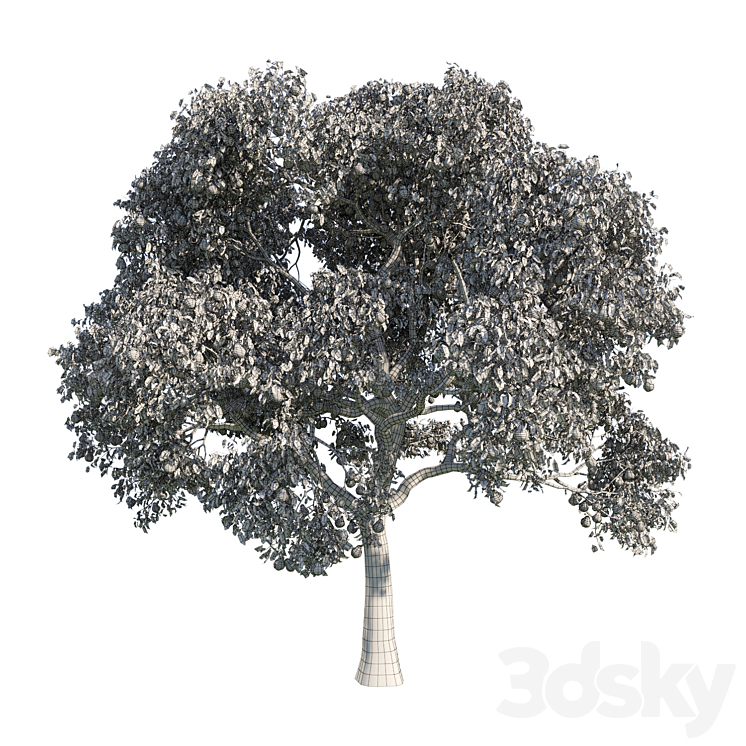 pear tree 1 3DS Max - thumbnail 2