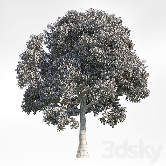 Pear Tree 10 3DS Max Model - thumbnail 2