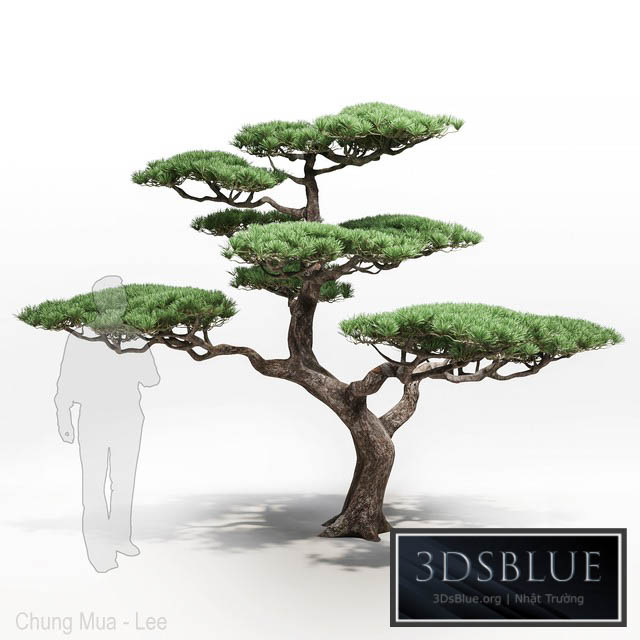 pine 3DS Max - thumbnail 3