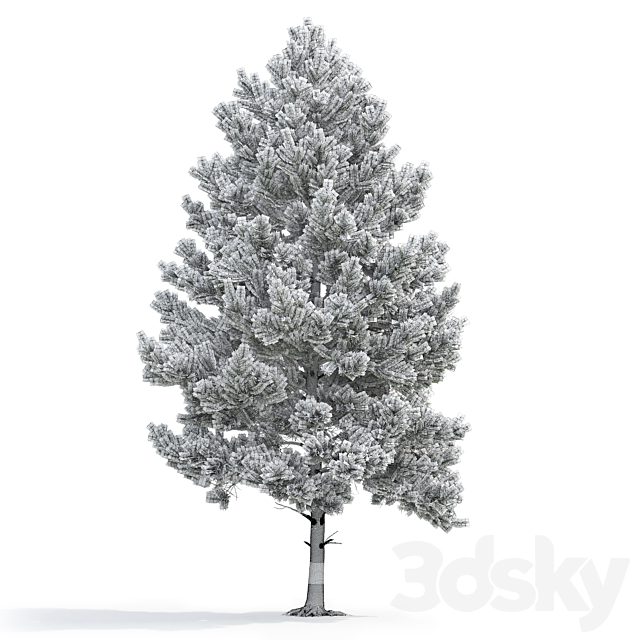 Pine 3DS Max Model - thumbnail 3