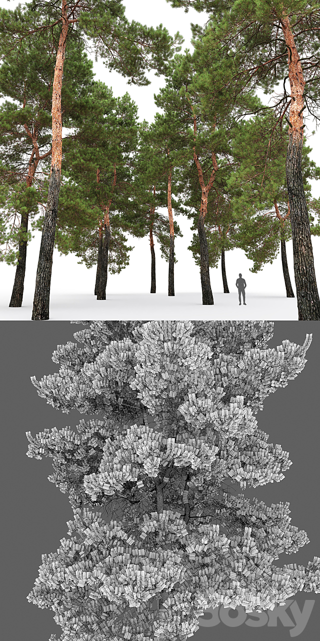 Pine 3DSMax File - thumbnail 5