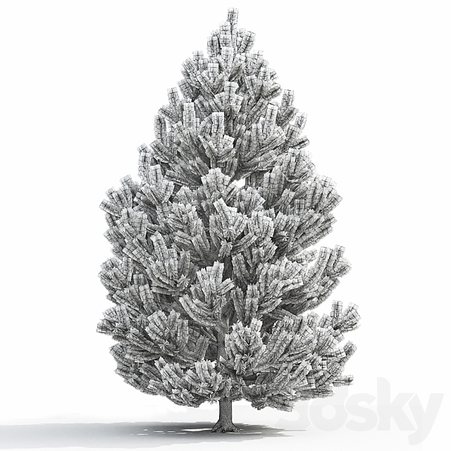 Pine 3DSMax File - thumbnail 3