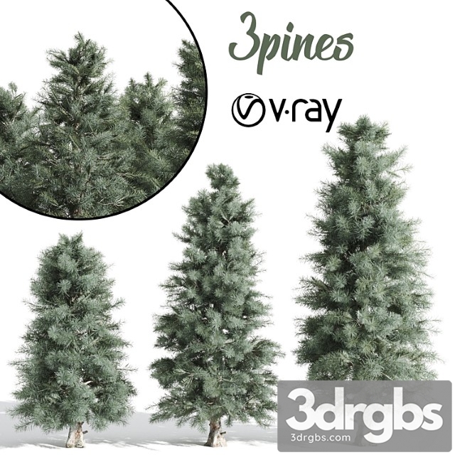 Pine Tree 15 3dsmax Download - thumbnail 1