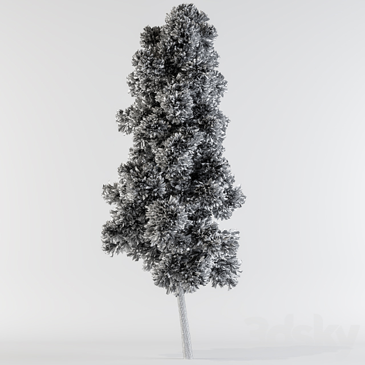 Pine tree 3DS Max - thumbnail 2