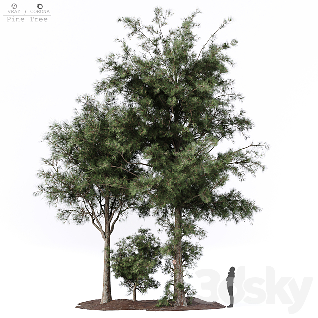 Pine tree 3ds Max - thumbnail 1