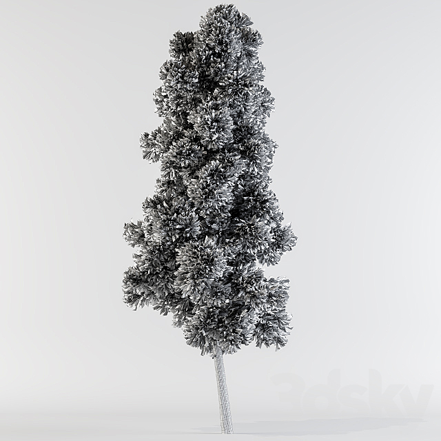 Pine tree 3DSMax File - thumbnail 2