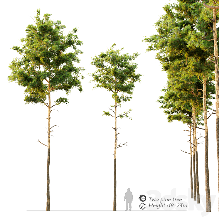 Pine tree_9 3DS Max - thumbnail 1