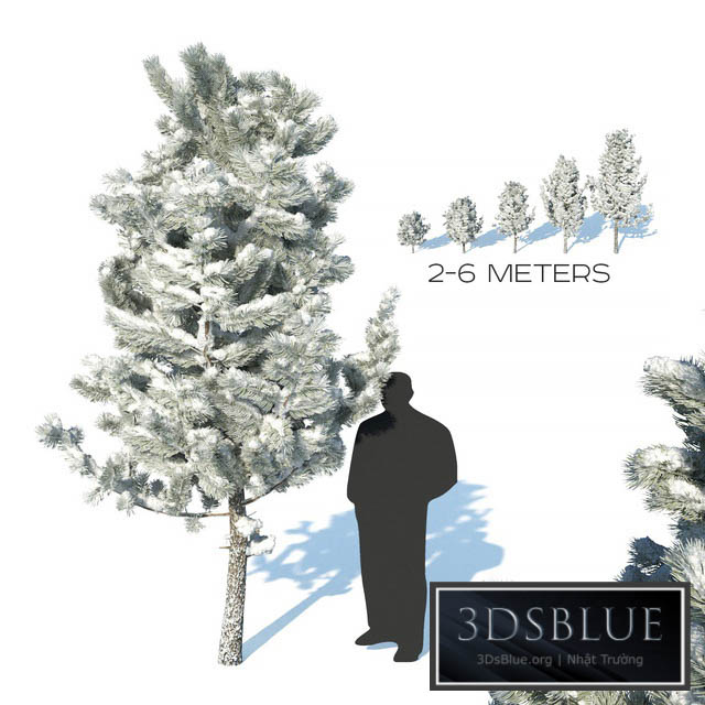 Pine trees in the snow 3DS Max - thumbnail 3