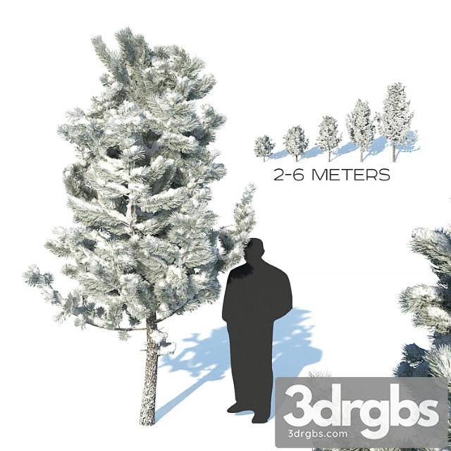 Pine Trees In The Snow 3dsmax Download - thumbnail 1