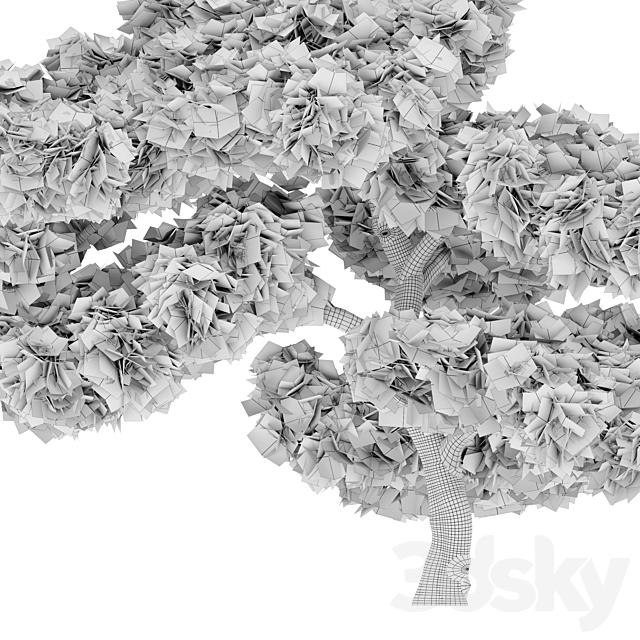 pinus parviflora 3DSMax File - thumbnail 4