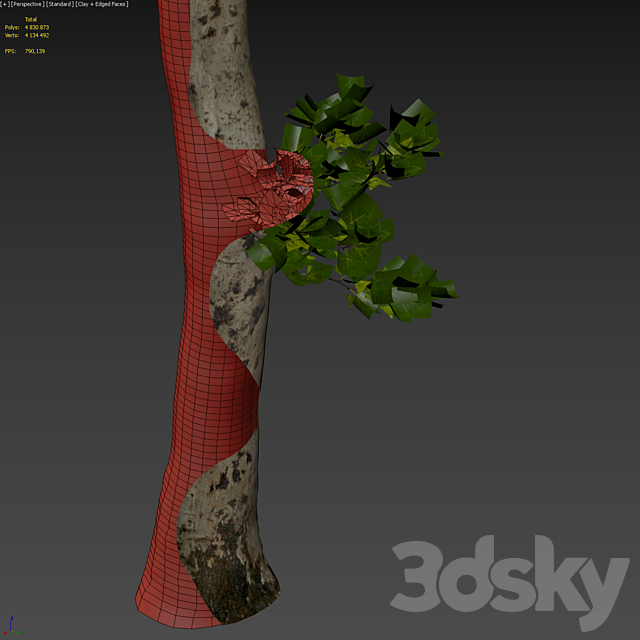 Plane-tree _ Sycamore _ Platanus #17 3DS Max Model - thumbnail 7