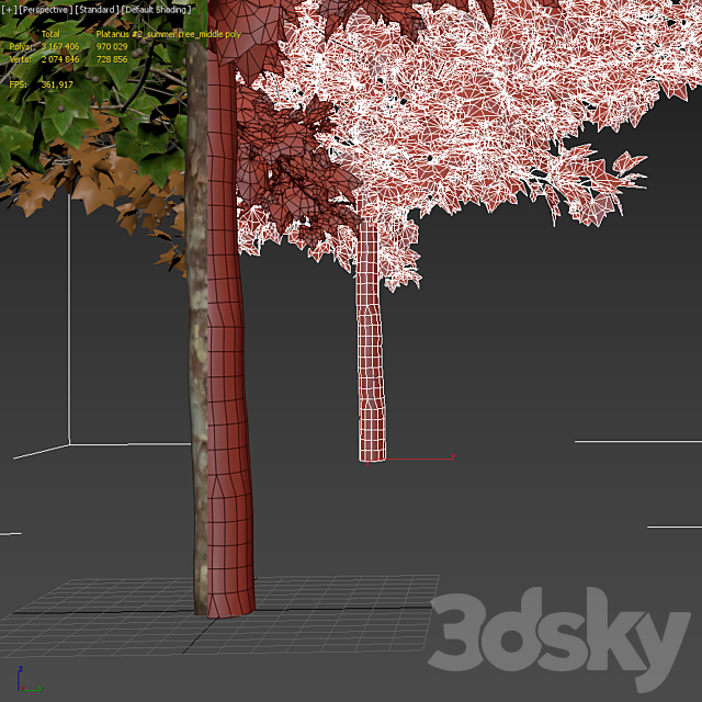 Plane-tree _ Sycamore _ Platanus #2 3DS Max Model - thumbnail 5