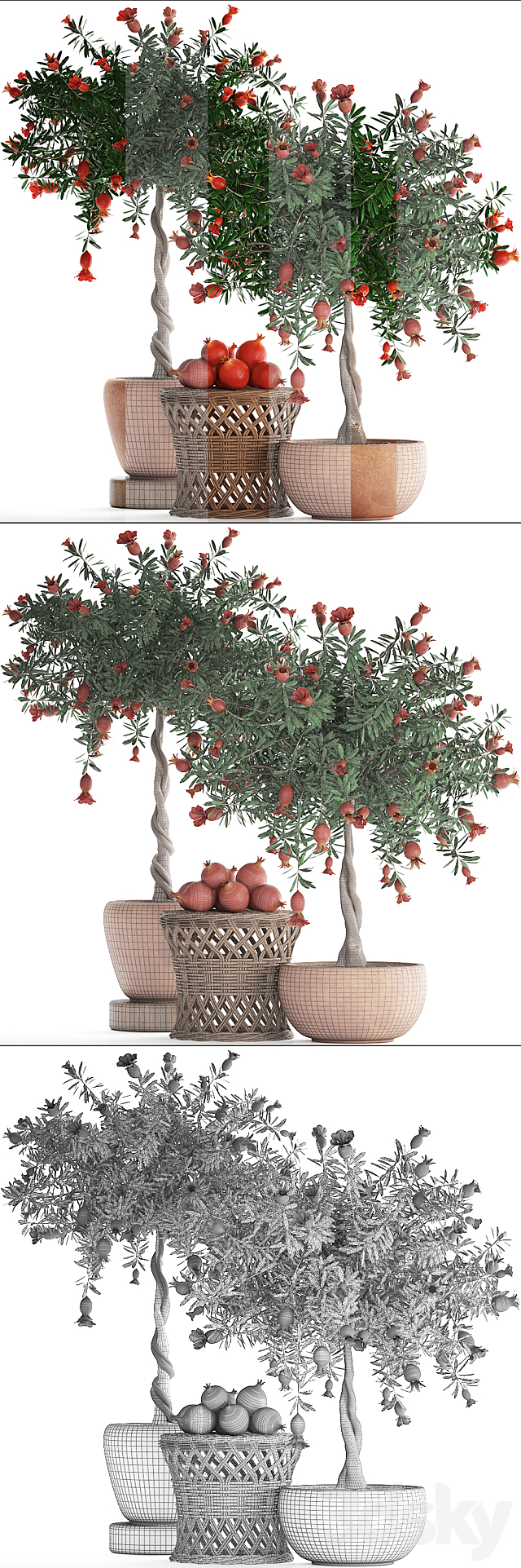 Plant Collection 264. Pomegranate tree with fruits. blooming. rattan table. flowerpot. outdoor. clay. clinker. eco design. natural materials 3DSMax File - thumbnail 3