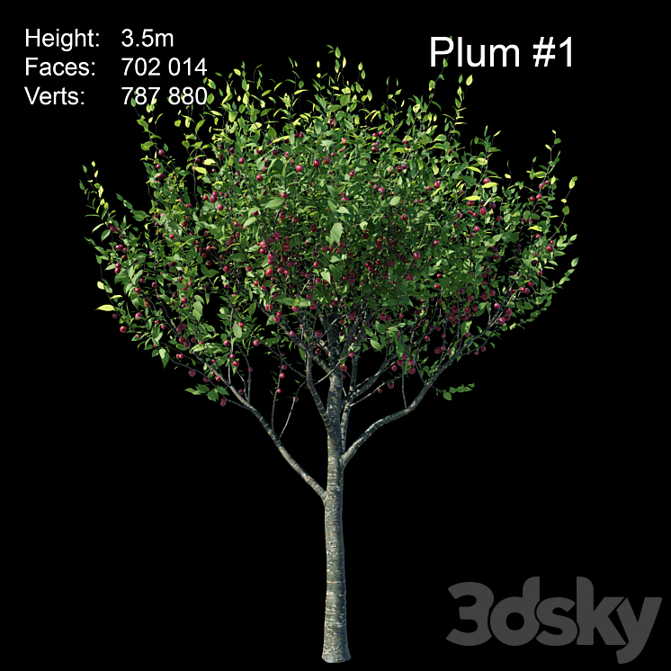 Plum 3DS Max - thumbnail 2