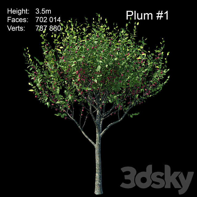 Plum 3DSMax File - thumbnail 2