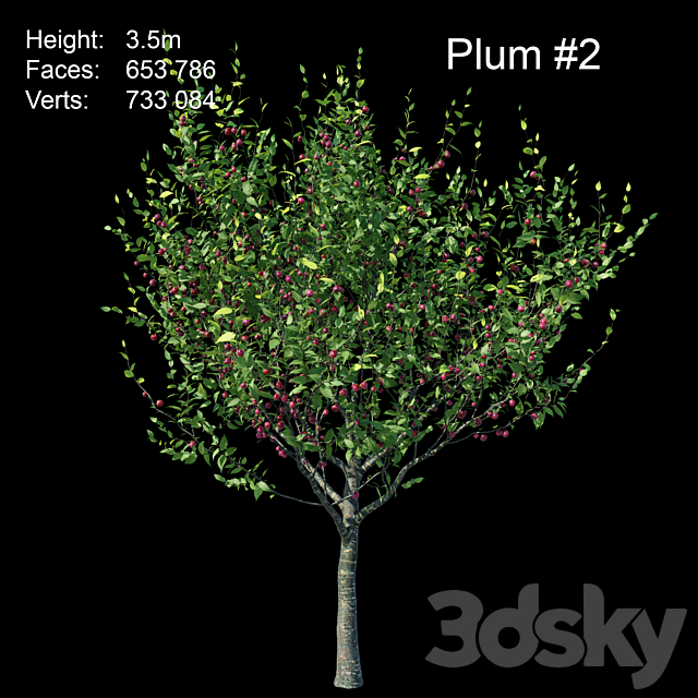 Plum 3DSMax File - thumbnail 3