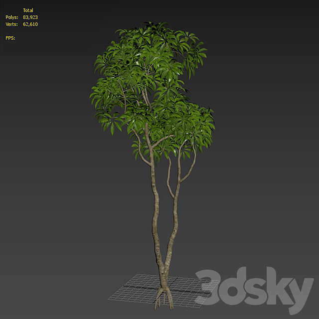 Plumeria Big 3D Models 3DS Max Model - thumbnail 2