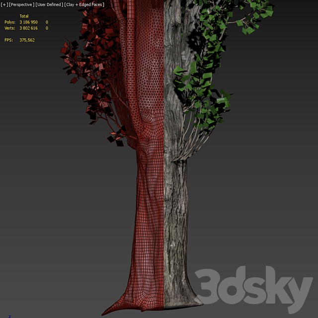 Poplar _ Populus #1 3DSMax File - thumbnail 5