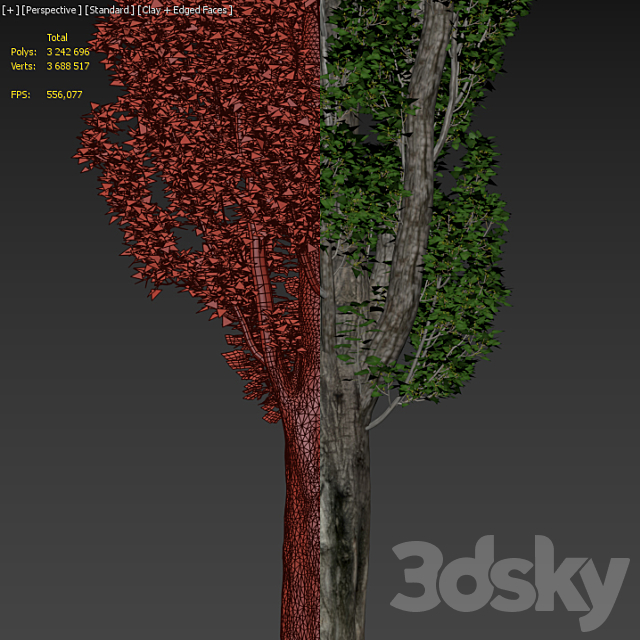 Poplar _ Populus # 4 3DSMax File - thumbnail 6