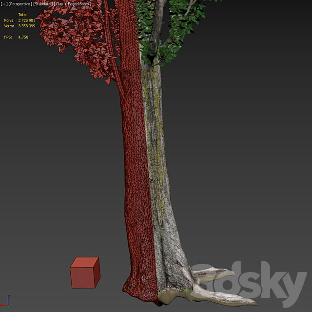 Poplar _ Populus nigra #3 3DSMax File - thumbnail 5