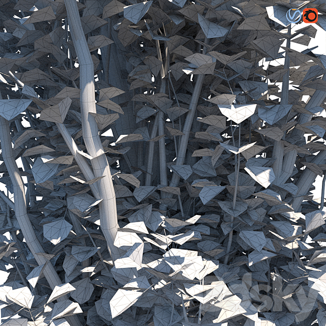 Poplar Pyramidal 15m Autumn 3DS Max Model - thumbnail 3