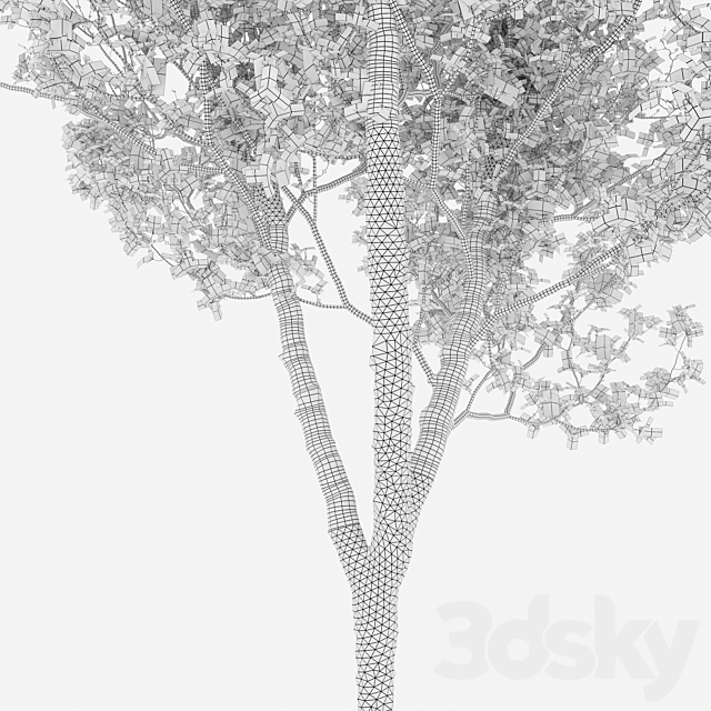 Quercus robur 3DS Max Model - thumbnail 7