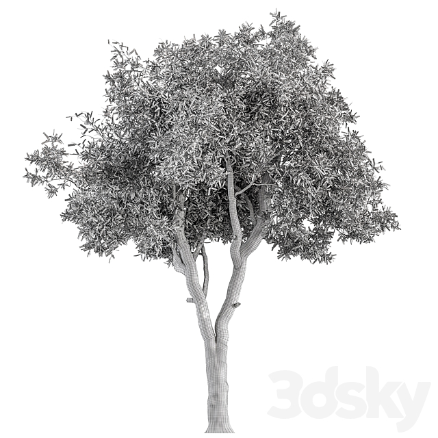 RedGum Tree – Tree Set 175 3DS Max Model - thumbnail 5