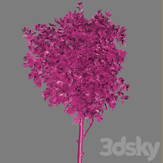 Rowan tree. Summer autumn 3DSMax File - thumbnail 3