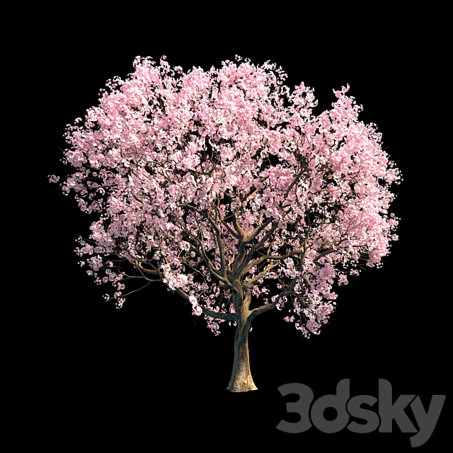 Sakura 8 3ds Max - thumbnail 1