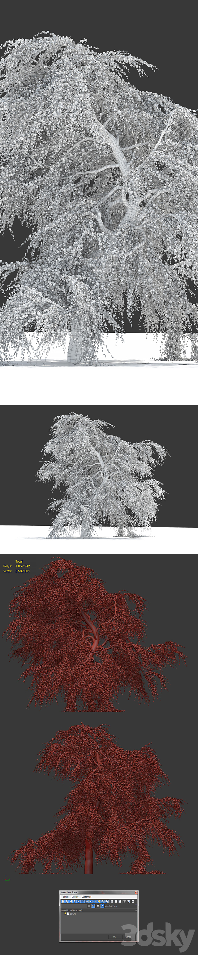 Sakura Tree 3DSMax File - thumbnail 3