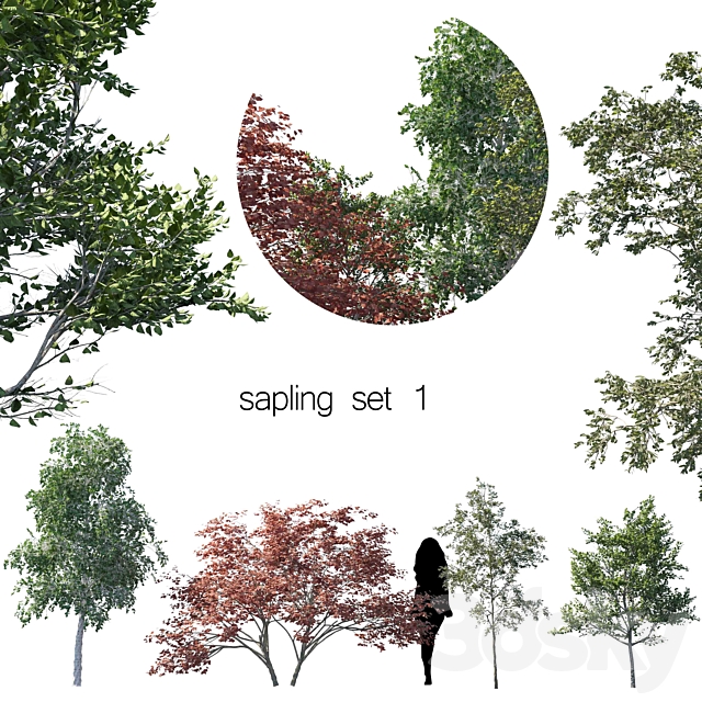 sapling set 1 3ds Max - thumbnail 1