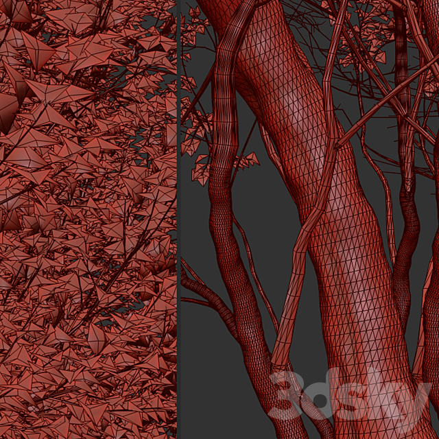 Set of Common Hazel Trees (Corylus avellana) (2 Trees) 3DSMax File - thumbnail 5