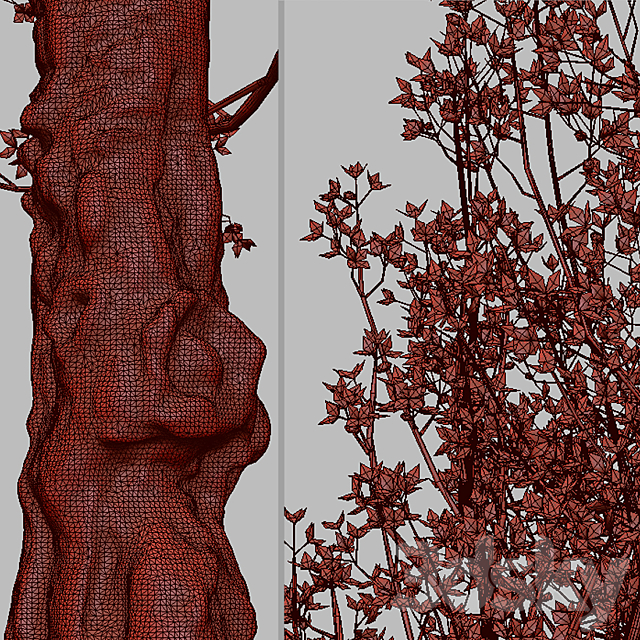 Set of Flowering Cornus mas Trees (Cornelian cherry) (2 Trees) 3DS Max Model - thumbnail 5